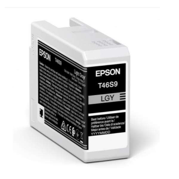 Epson Singlepack Light Gray T46S9 UltraChrome Pro 10 ink 25ml